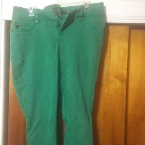 Torrid Jeans